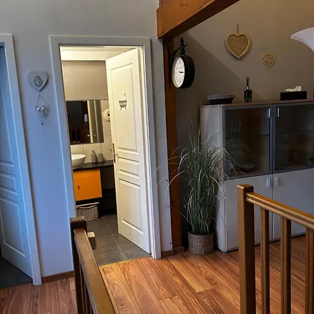 Family App 2 4 Pers Proche Strasbourg, Europa-park, Colmar